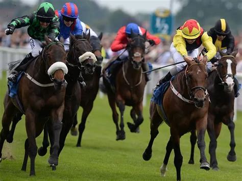 online horse betting in india|Horse Racing Betting .